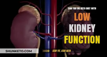 Keto and Kidney Health: Safe Dieting with Reduced Function