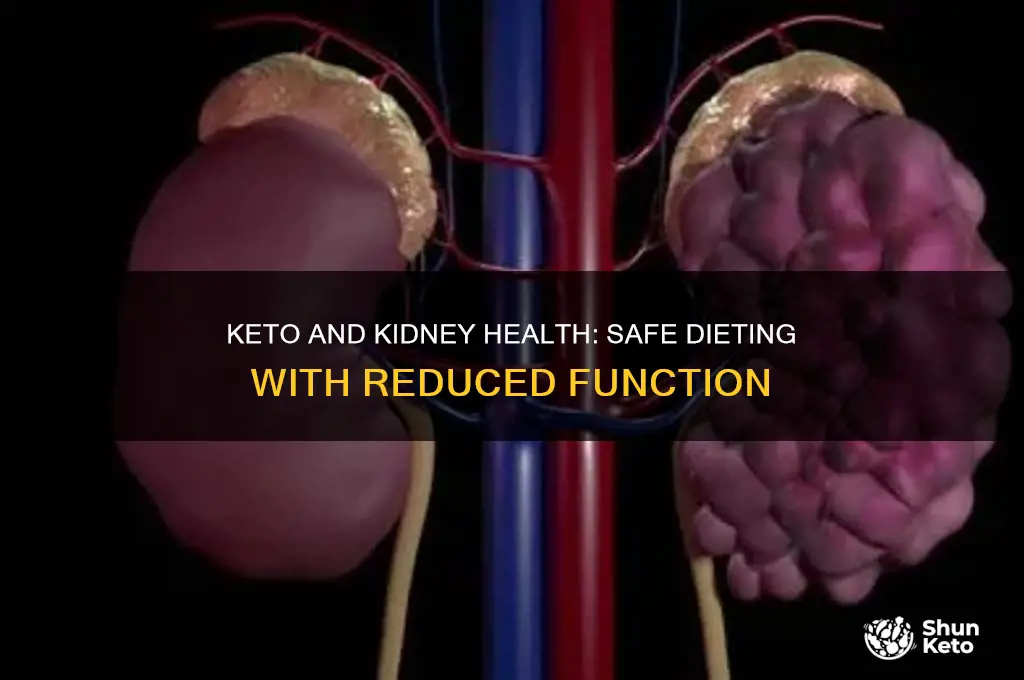 can you do keto diet with low kidney function