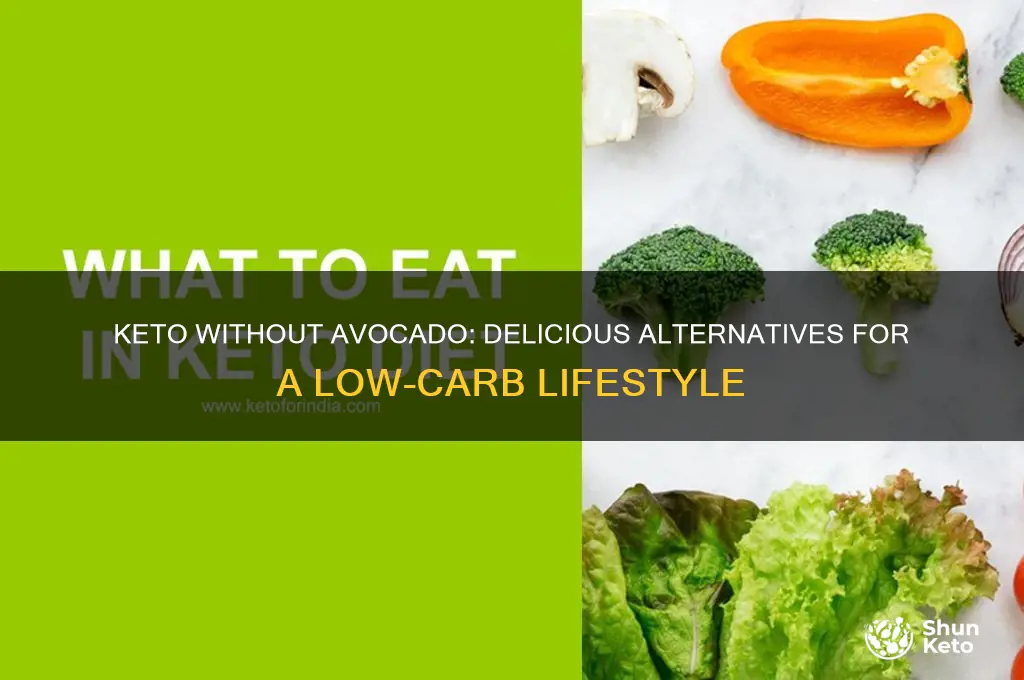 can you do keto if you dont like avocado