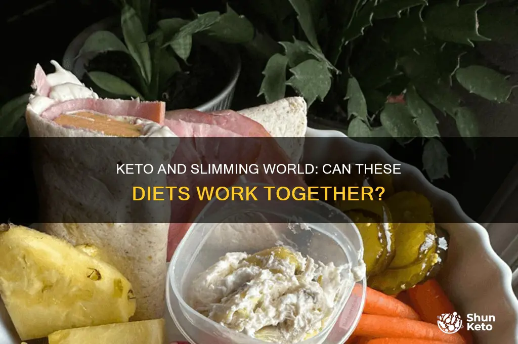 can you do keto on slimming world