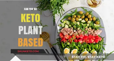 Plant-Based Keto: Is a Vegan Low-Carb Diet Possible?
