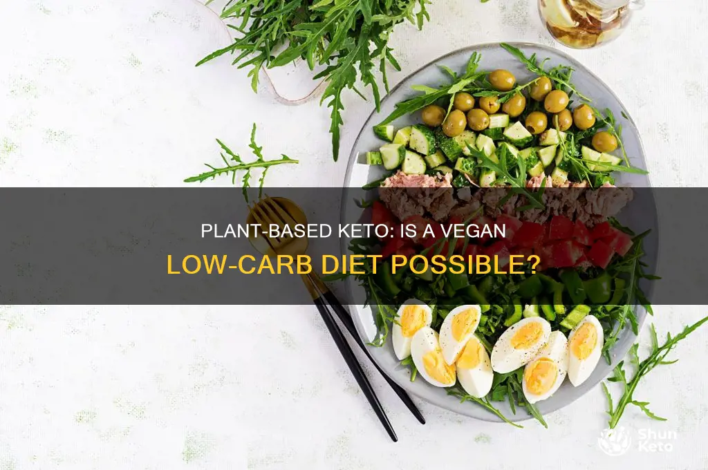can you do keto plant based