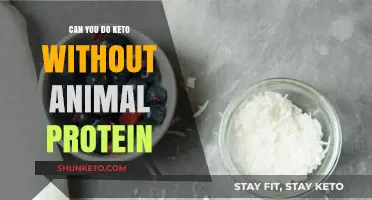Plant-Based Keto: Achieving Ketosis Without Animal Protein