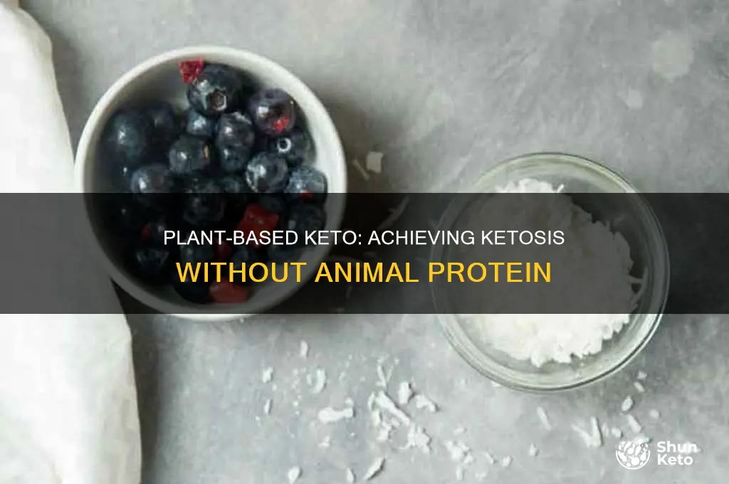 can you do keto without animal protein