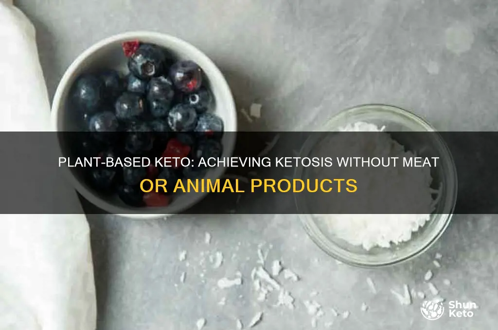 can you do keto without meat