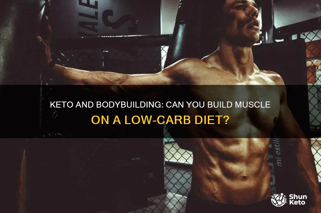 can you do the keto diet if you bodybuilding