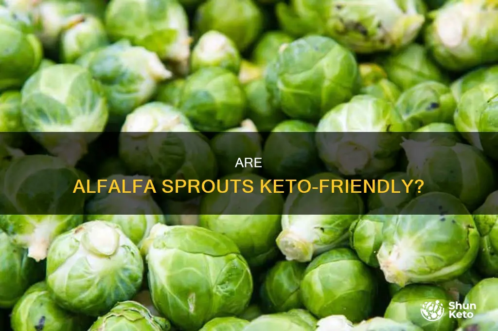 can you eat alfalfa sprouts on keto