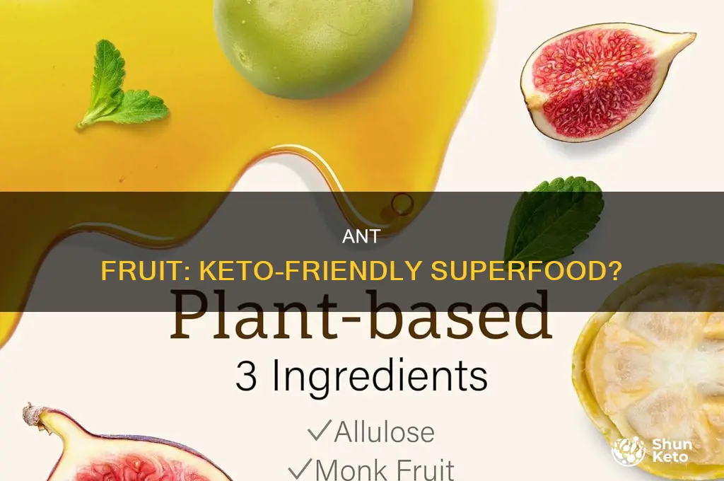 can you eat ant fruit on keto