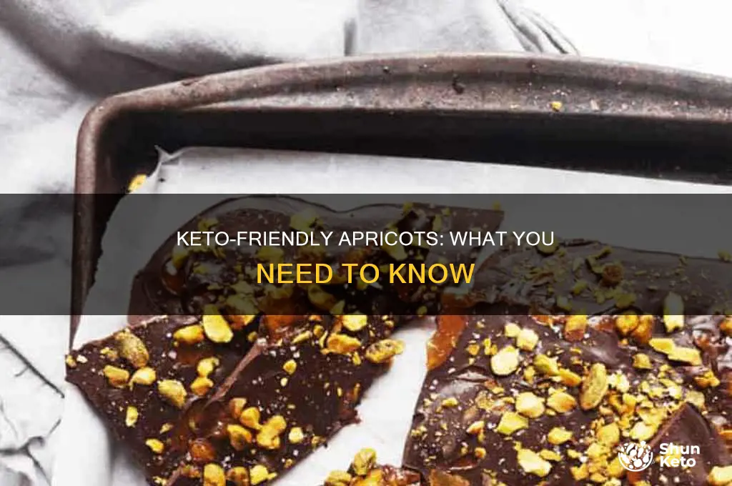 can you eat apricots on keto