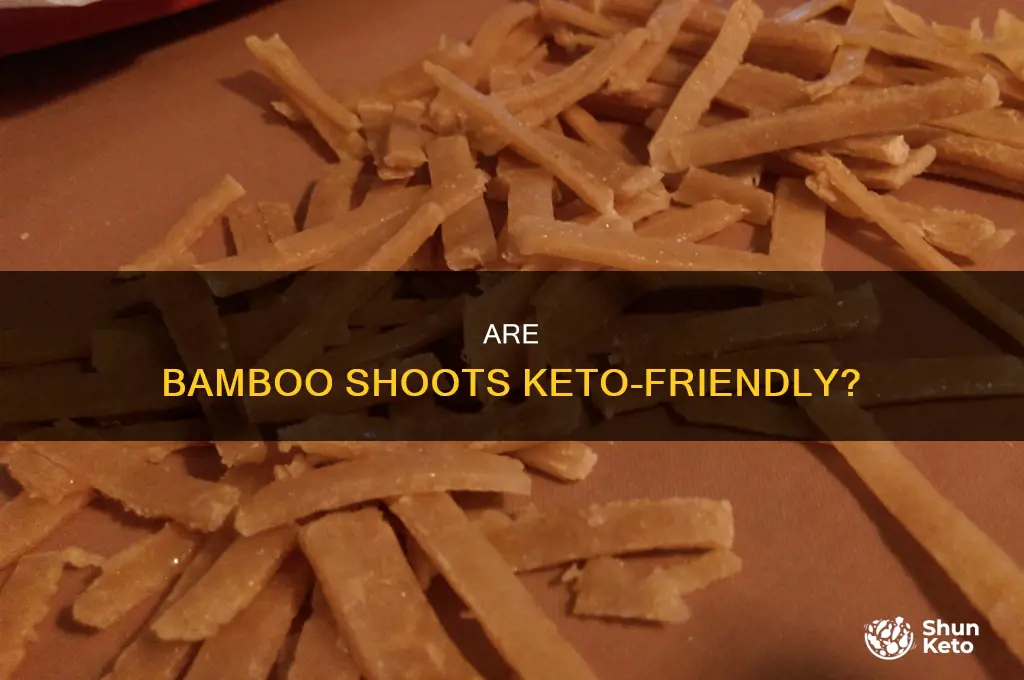 can you eat bambo shoots on the keto diet