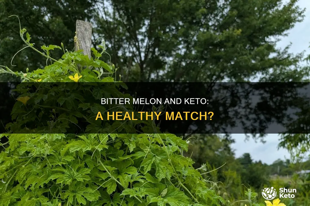 can you eat bitter melon on keto
