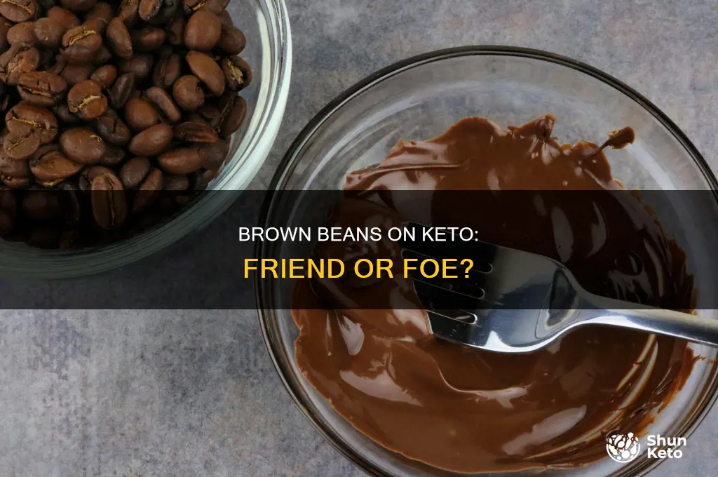 can you eat brown beans on keto diet