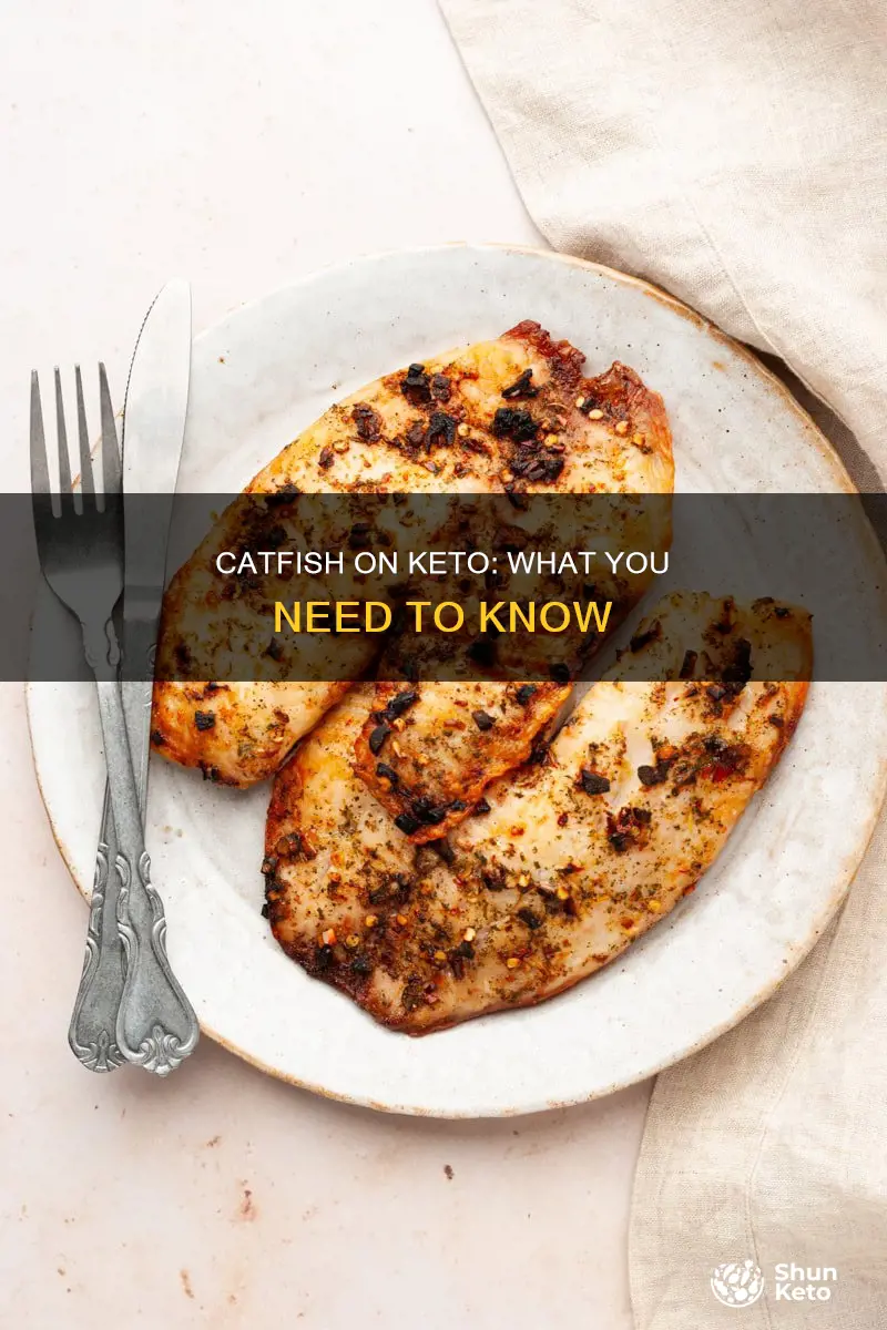 can you eat catfish on keto