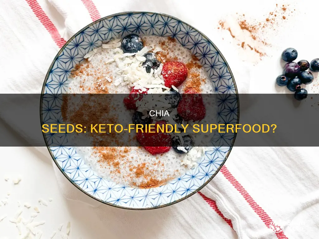 can you eat chia seeds in keto diet