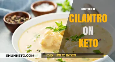 Cilantro on Keto: What You Need to Know
