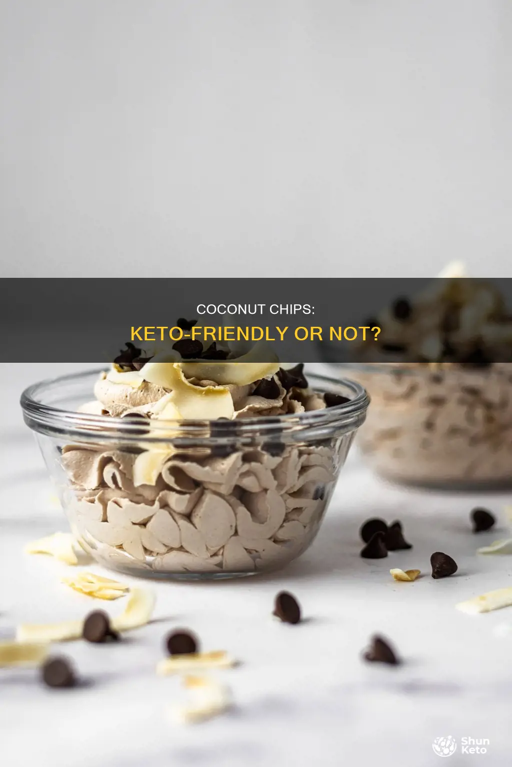 can you eat coconut chips on keto diet