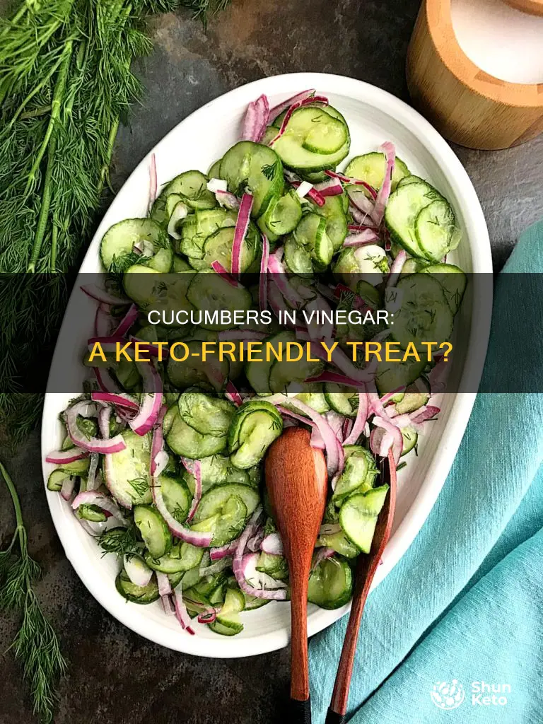 can you eat cucumbers in vinegar on keto diet
