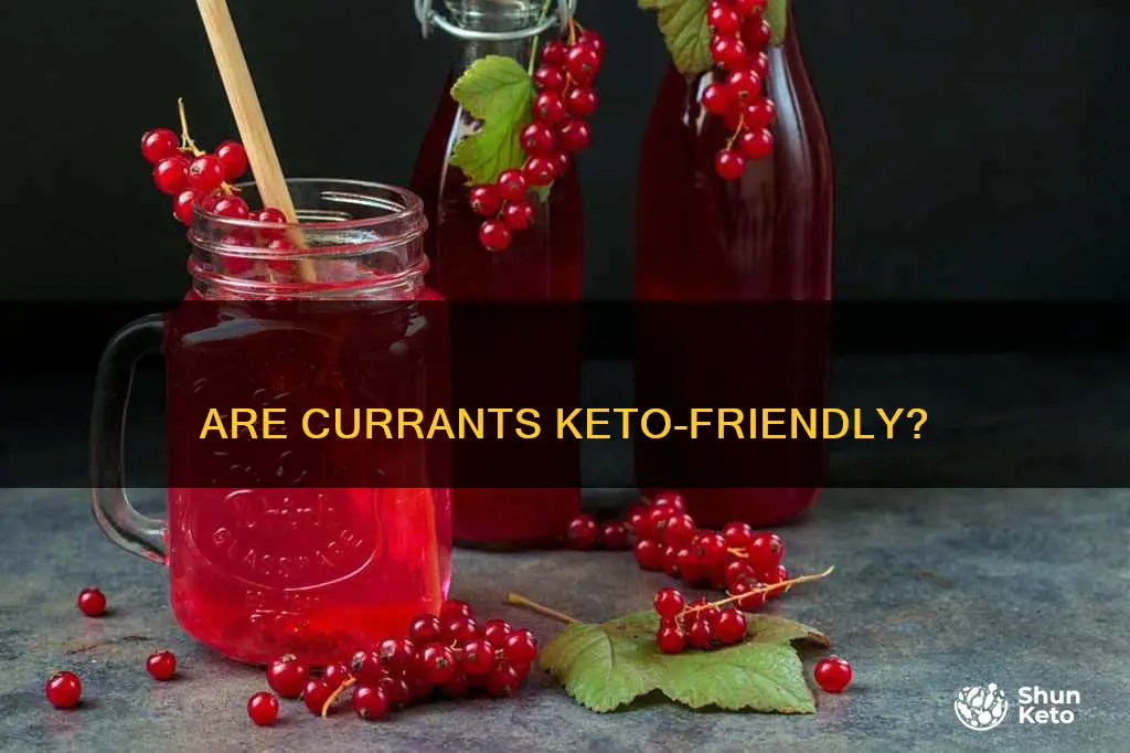 can you eat currants on the keto diet