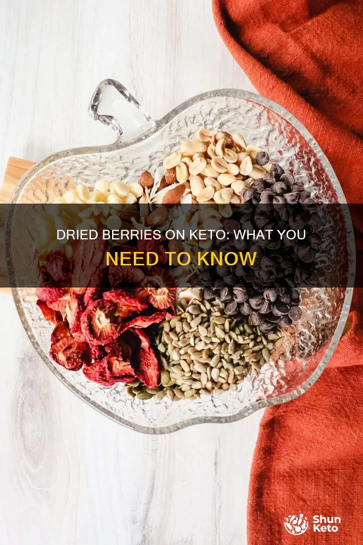 can you eat dried berries on keto diet