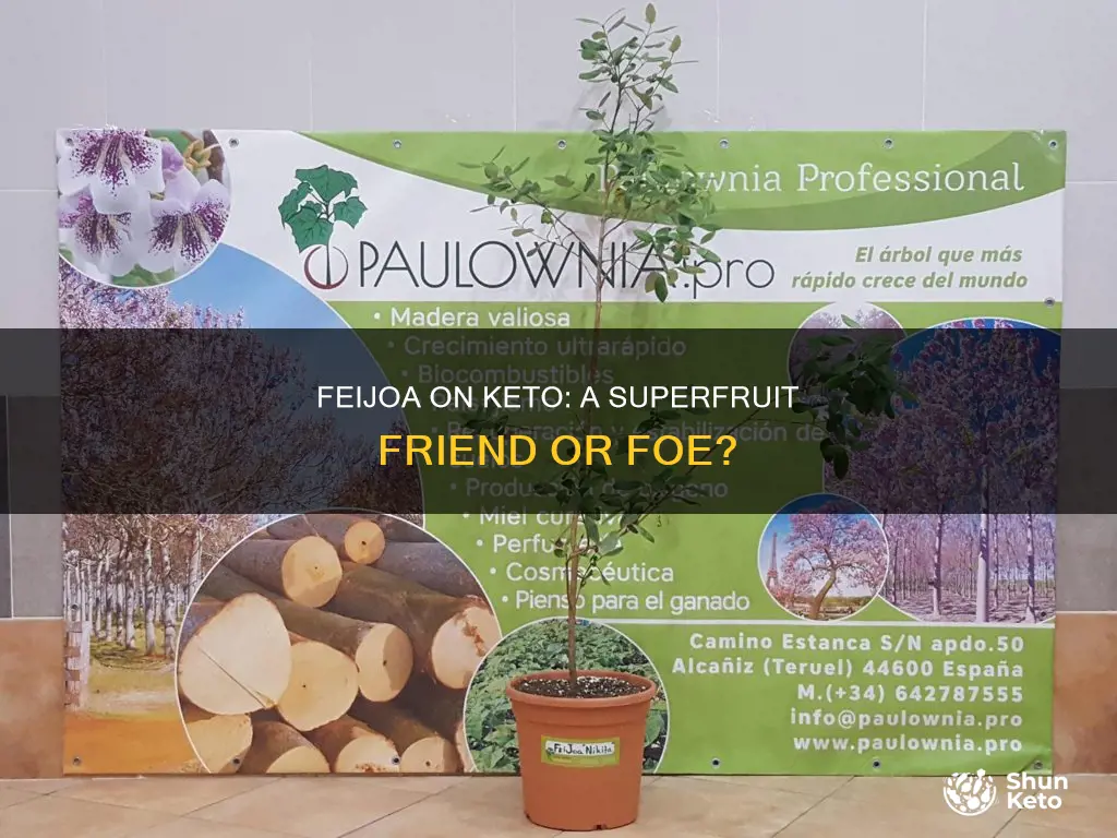 can you eat feijoa on keto