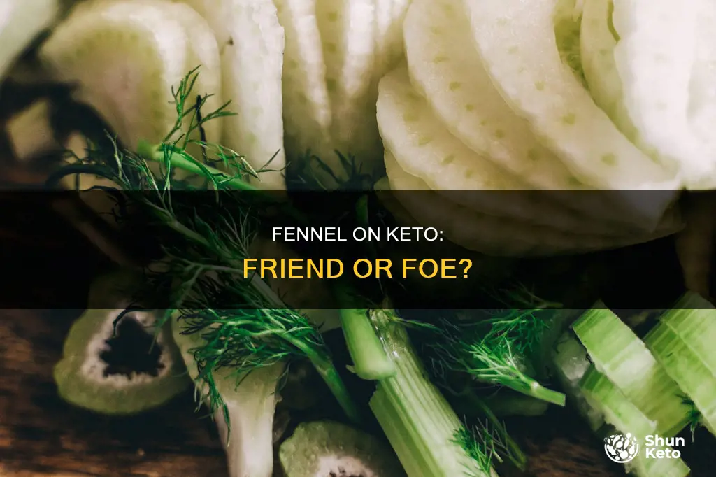 can you eat fennel on keto