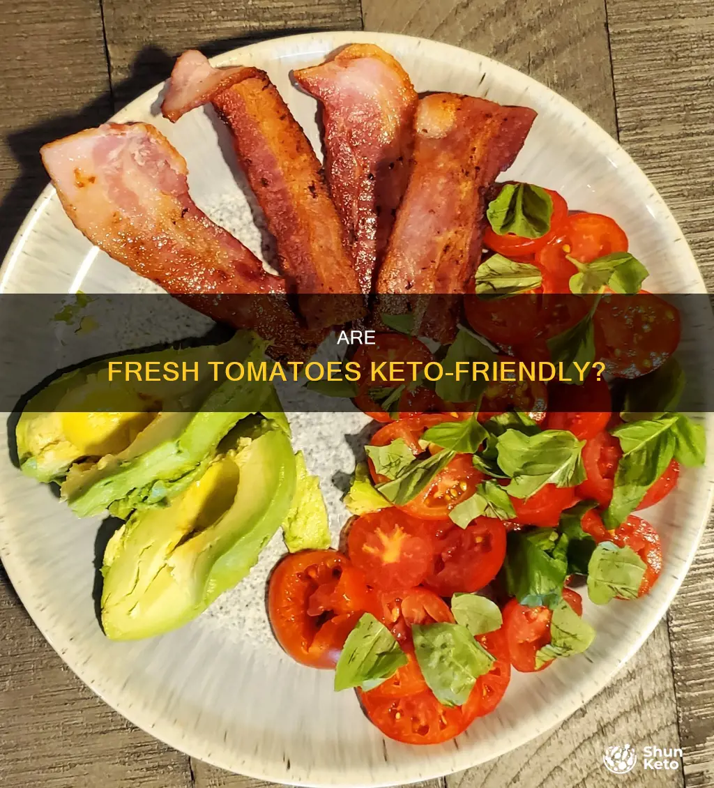 can you eat fresh tomatoes on a keto diet