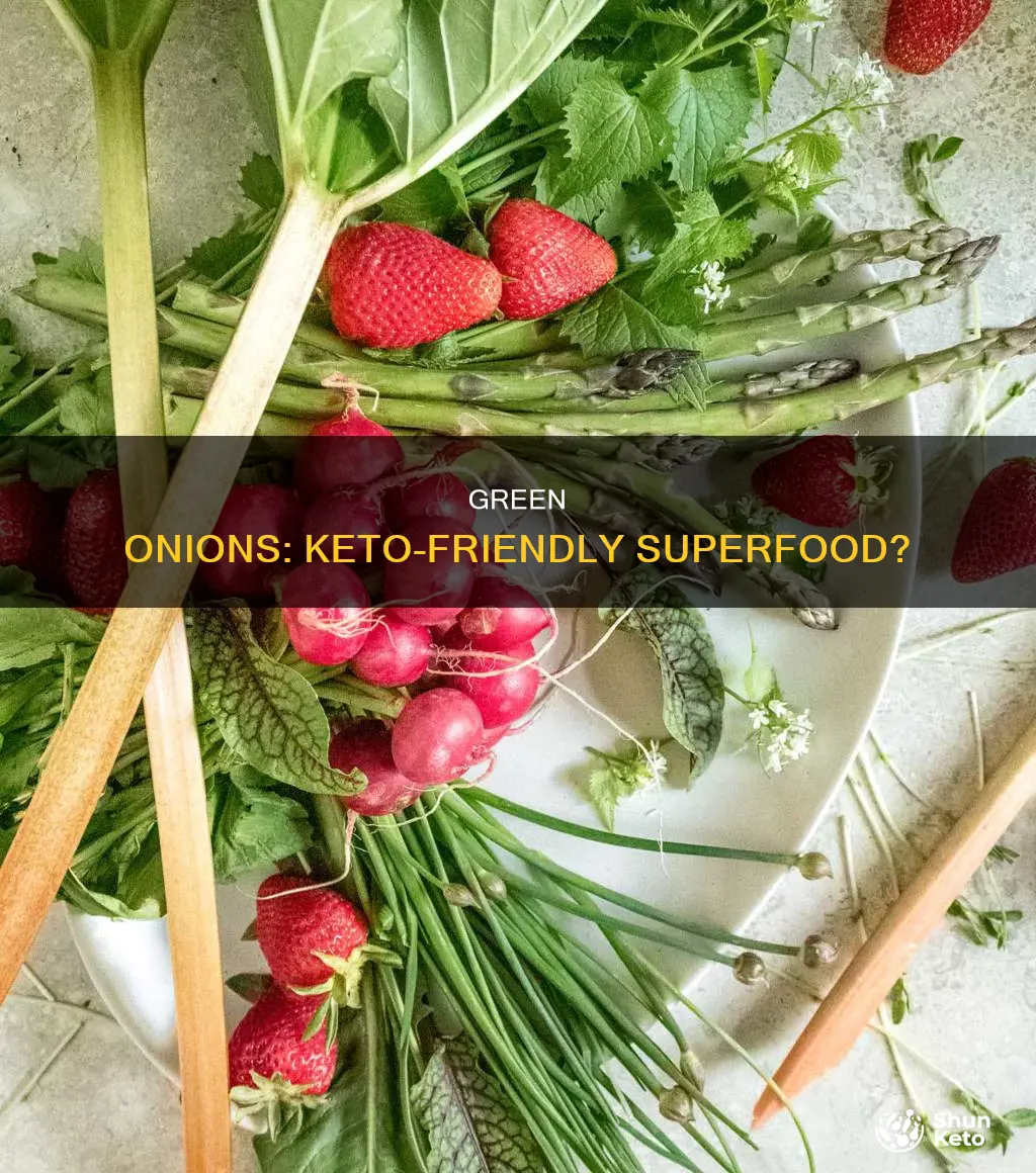 can you eat green onions on a keto diet