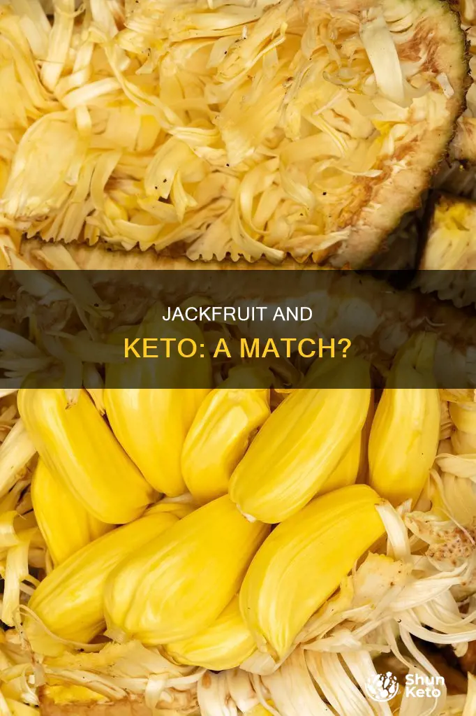 can you eat jackfruit on a keto diet