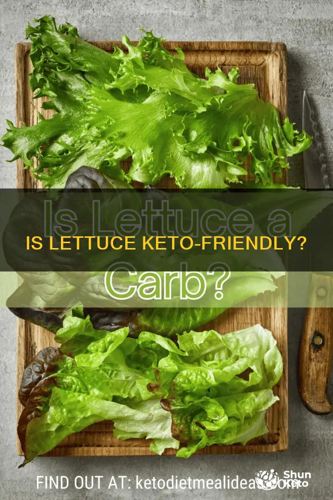can you eat lettus on keto diet