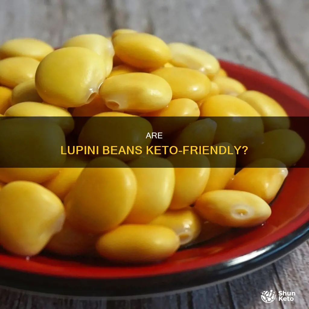can you eat lupini beans on keto diet