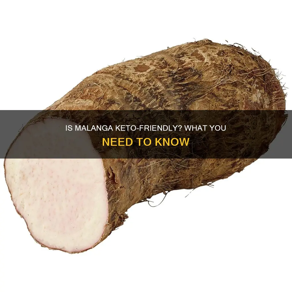 can you eat malanga on a keto diet