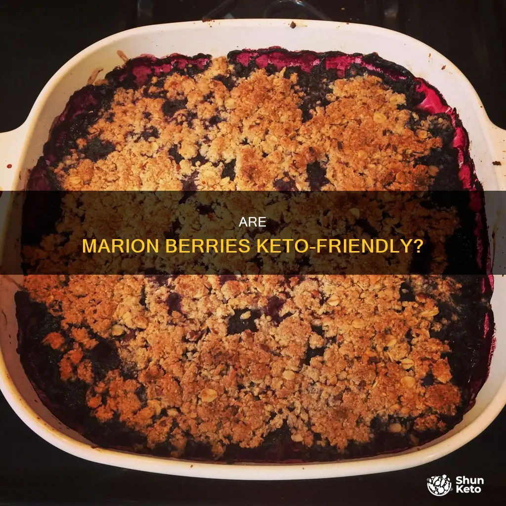 can you eat marion berries on keto diet