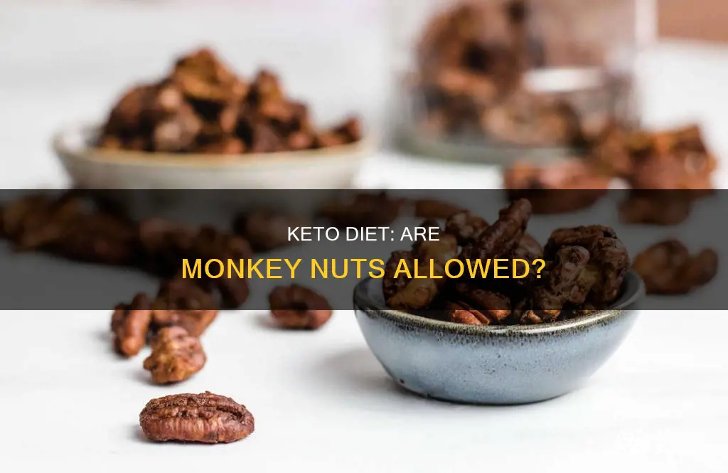 can you eat monkey nuts on keto diet