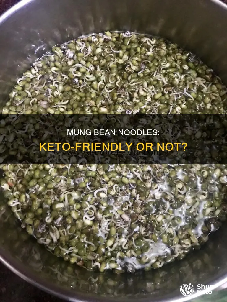 can you eat mung bean noodles on keto