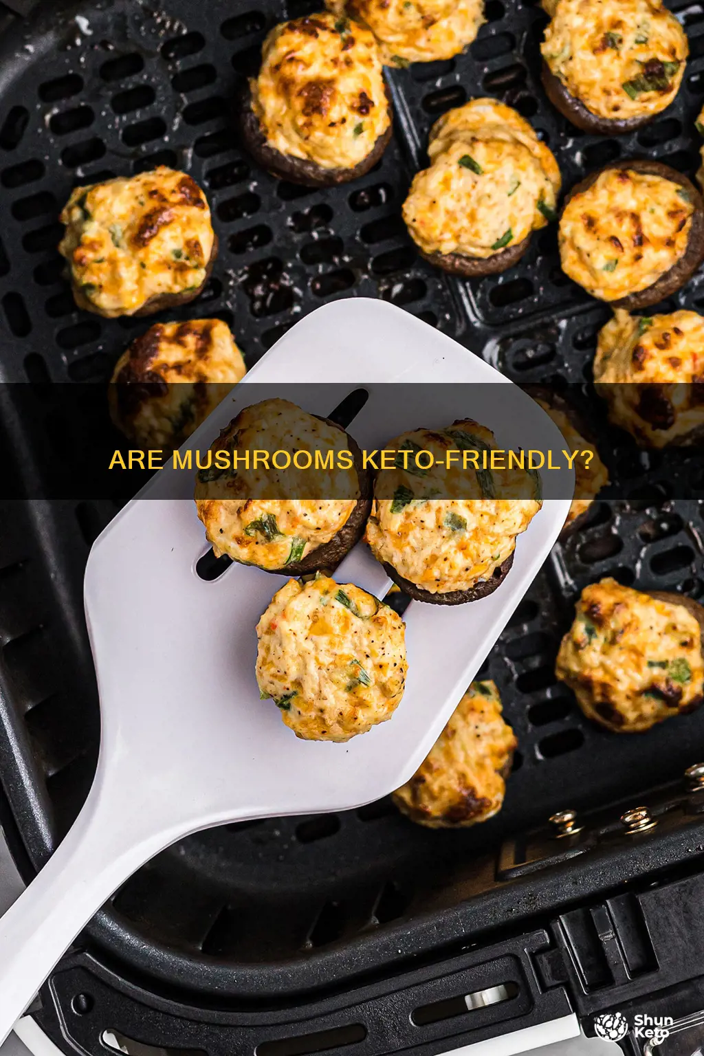 can you eat mushroomson keto