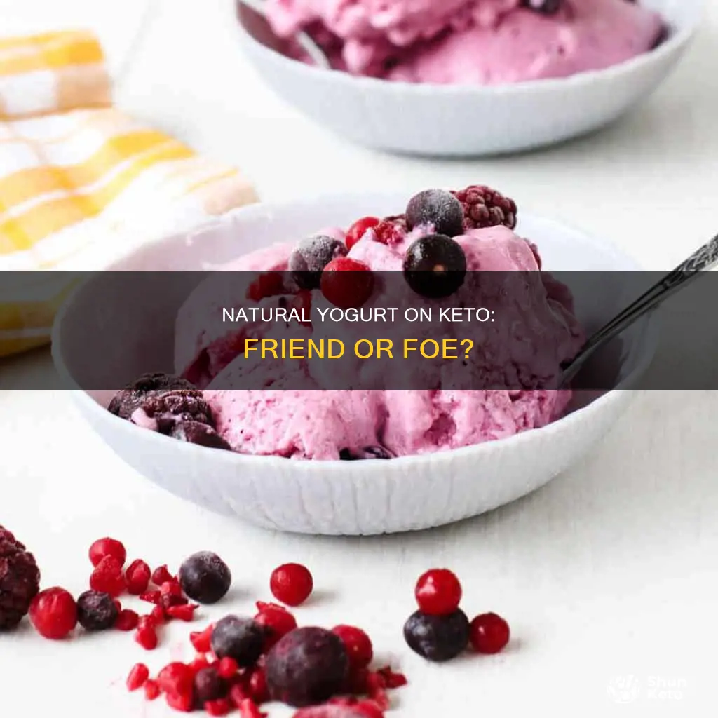 can you eat natural yogurt on keto diet