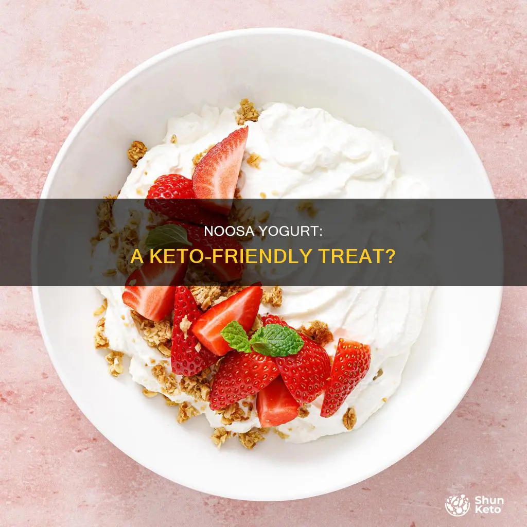 can you eat noosa yogurt on keto