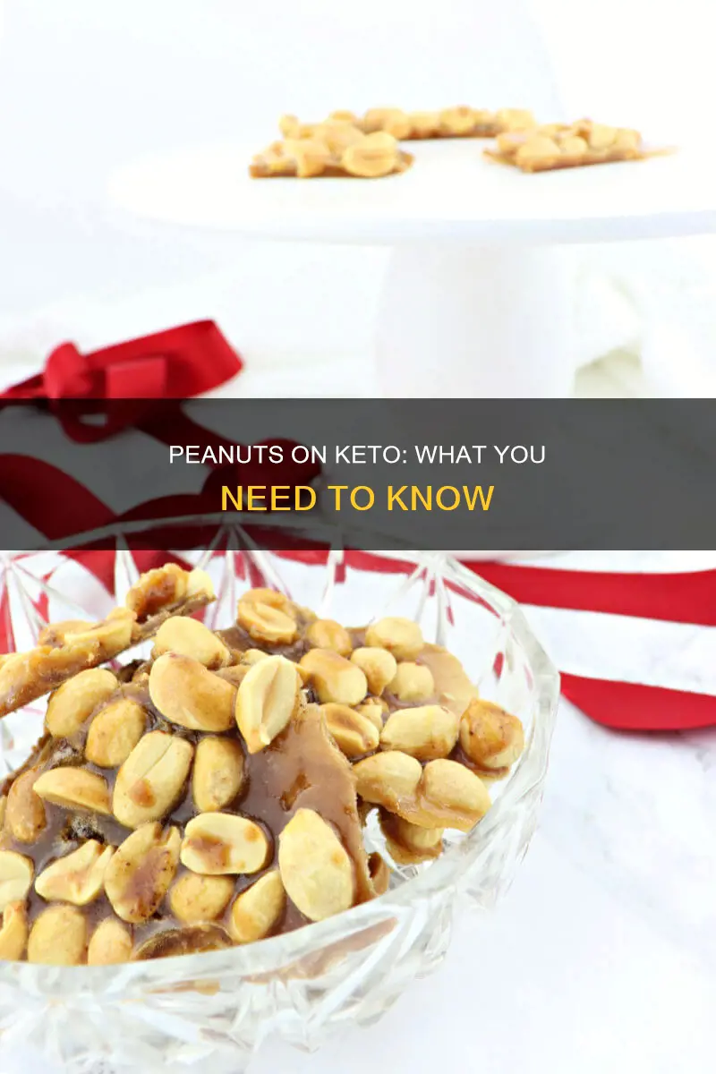 can you eat peanuts on a keto dieat