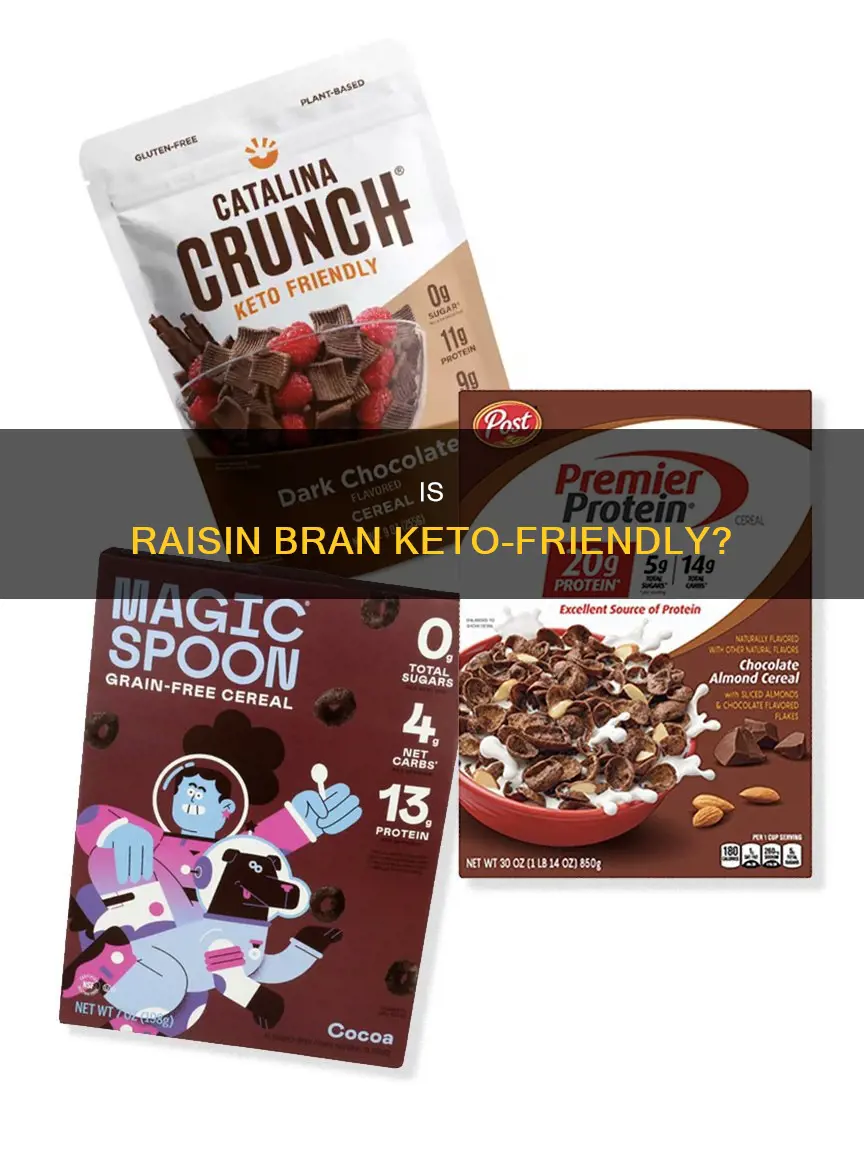 can you eat raisin bran cereal on the keto diet
