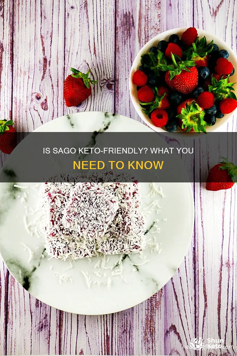 can you eat sago on a keto diet