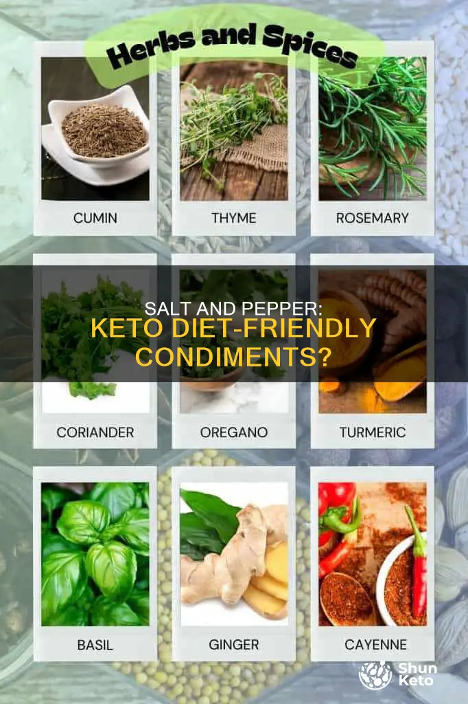 can you eat salt and pepper on keto diet
