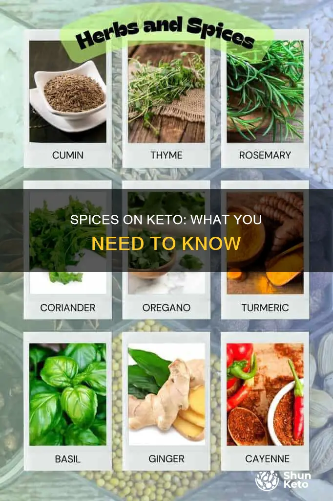 can you eat spices on keto