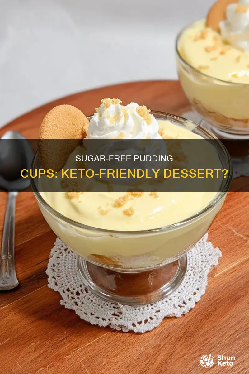 can you eat sugar free pudding cups on keto