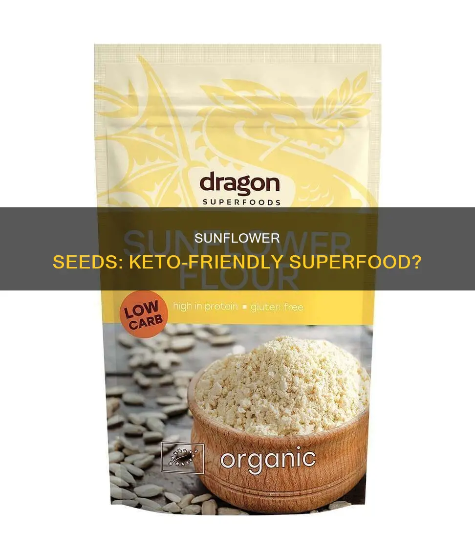 can you eat sun flour seeds on keto