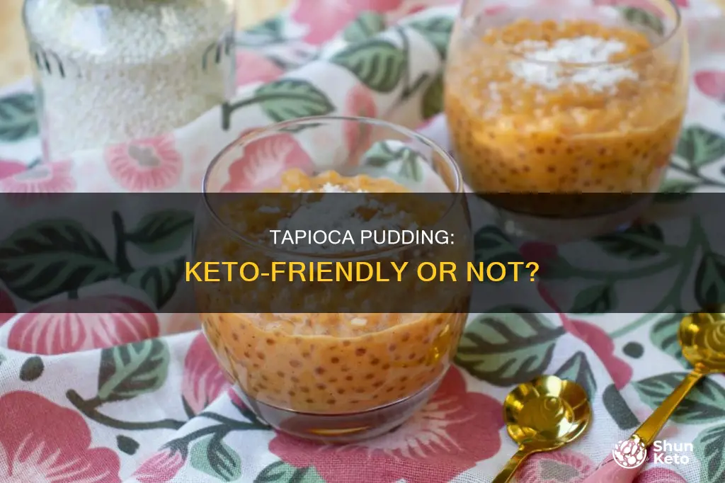 can you eat tapioca pudding on a keto diet