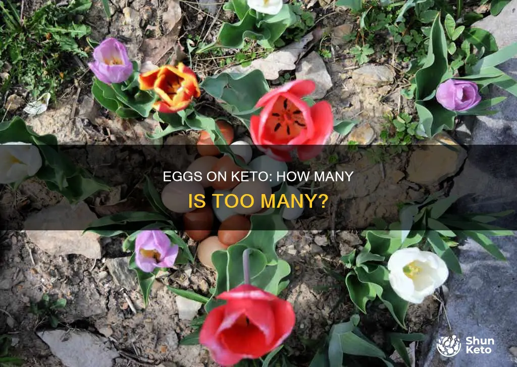 can you eat too much eggs on keto