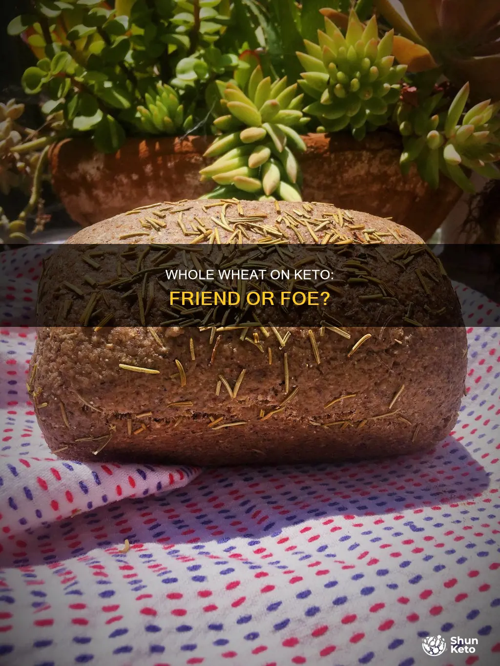 can you eat whole wheat on keto