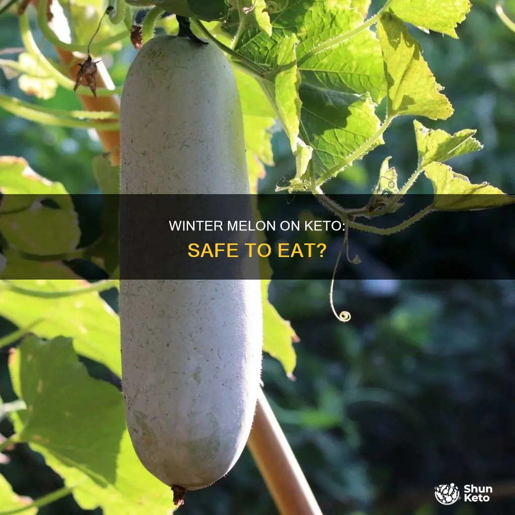 can you eat winter melon on keto
