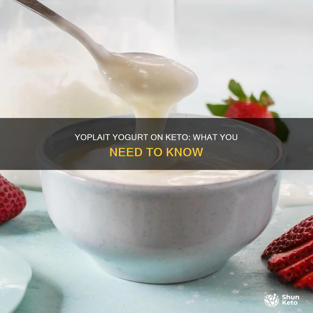 can you eat yoplait yogurt on keto