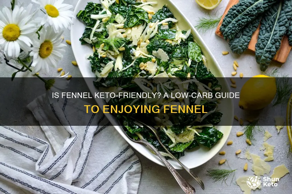 can you fennel on keto diet